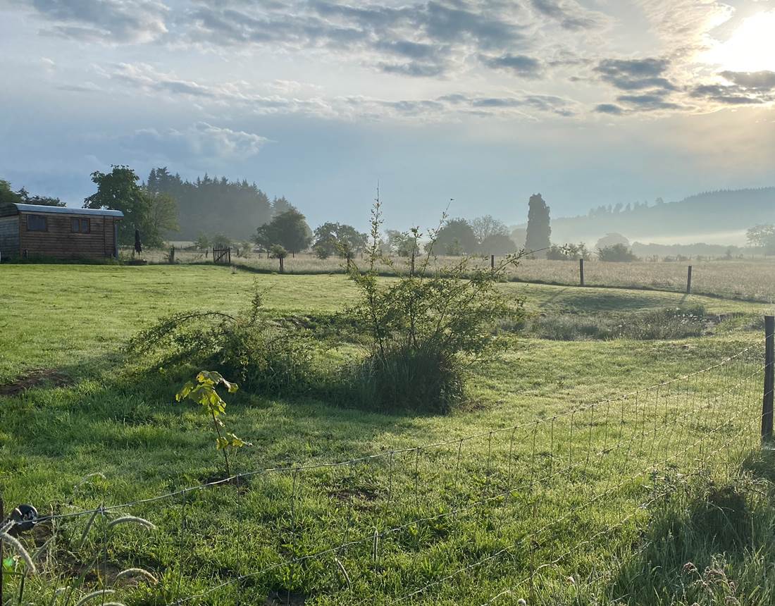 Les terres de la chouette, le jardin