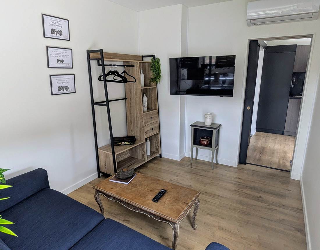 salon-tout-confort-avec-canapé-convertible