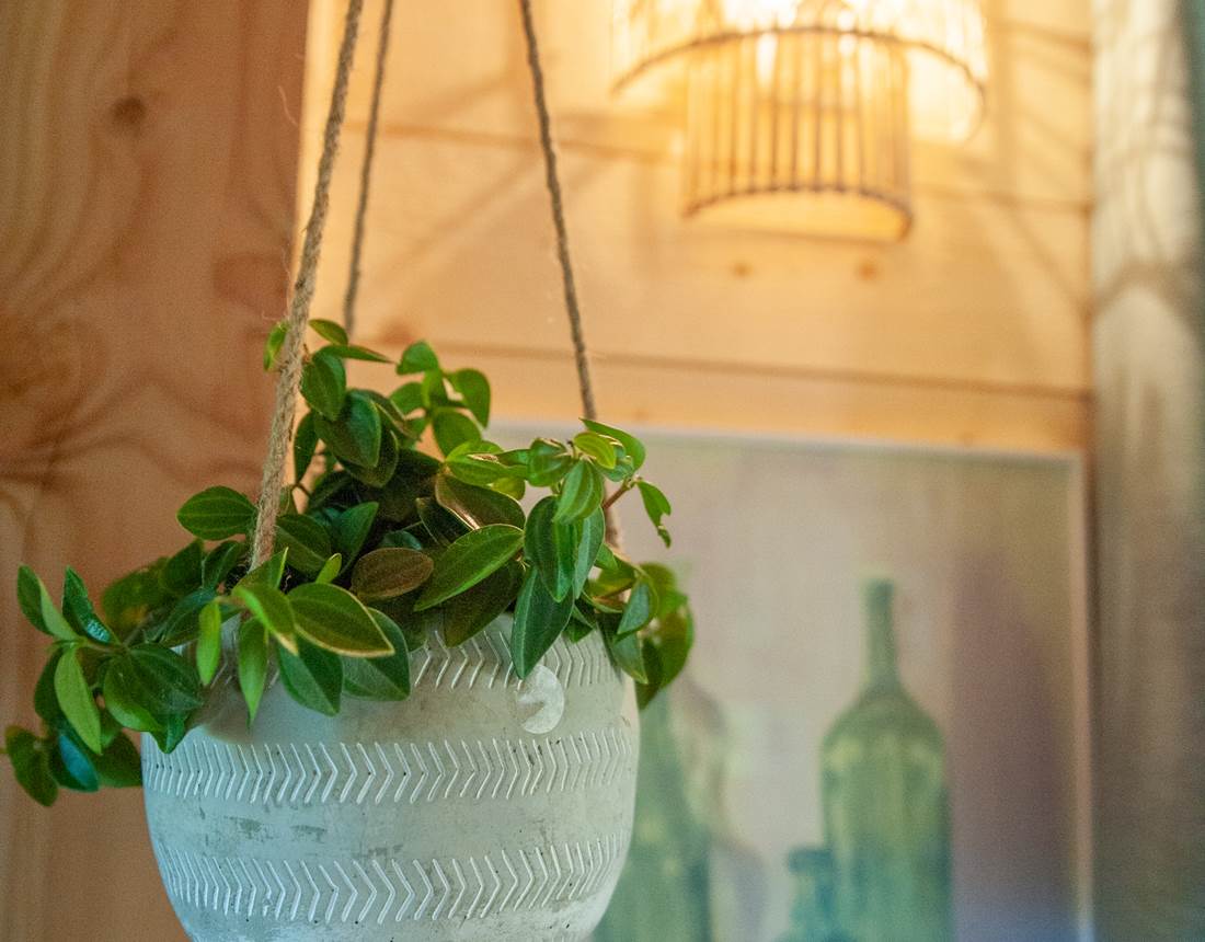 11 Domaine INYAQAB Petite Cabane déco