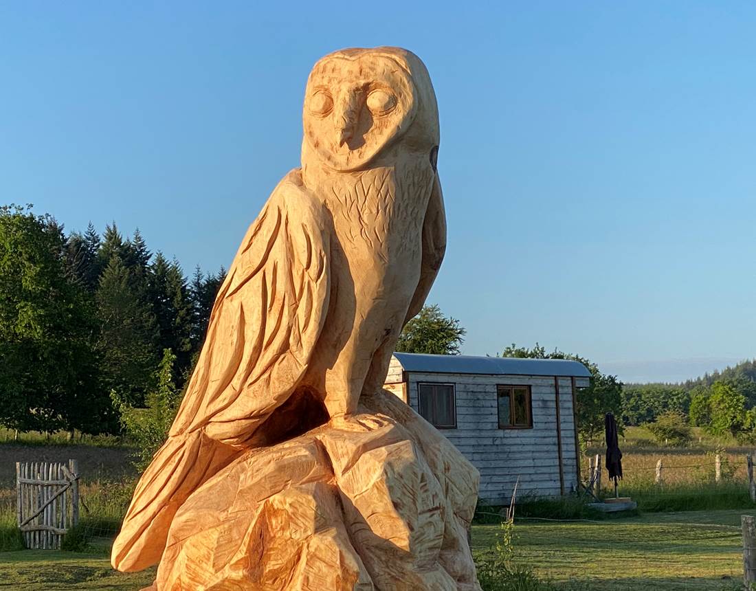 Les terres de la chouette, l'œuvre de l'artiste Chris Le Farfadet est désormais la gardienne des lieux