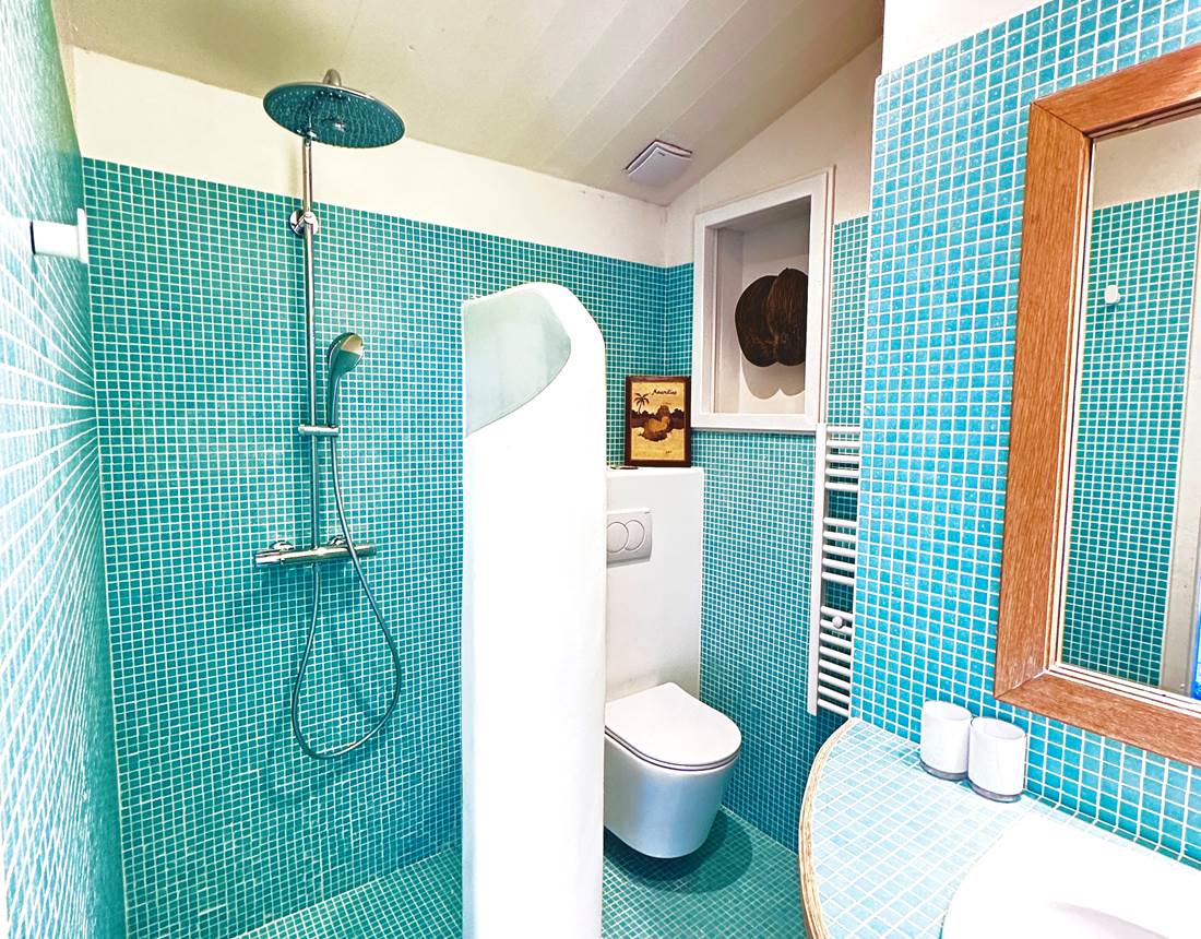 la salle de bain de la maison bleue