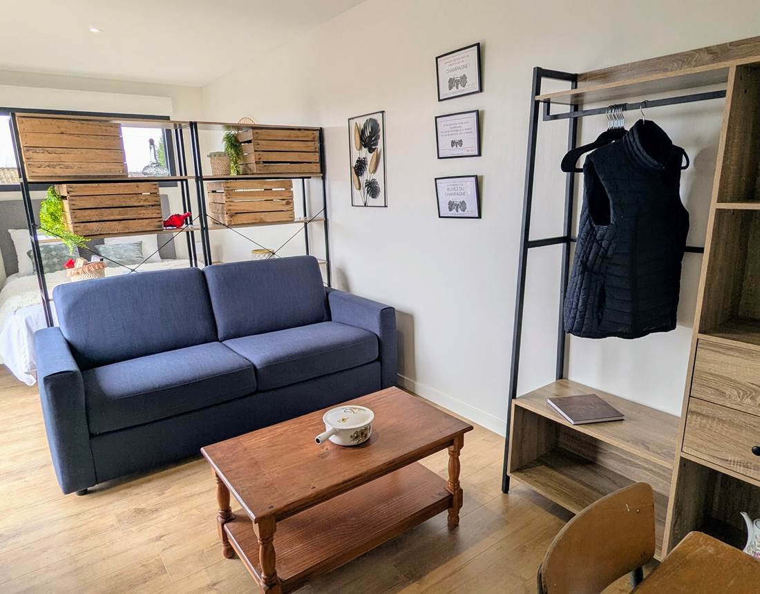 salon-tout-confort-avec-canapé-convertible