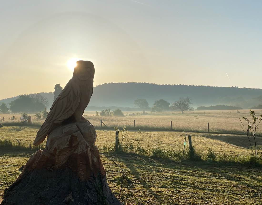 Les terres de la chouette, merveilleuse lumière matinale que l'on peut apprécier