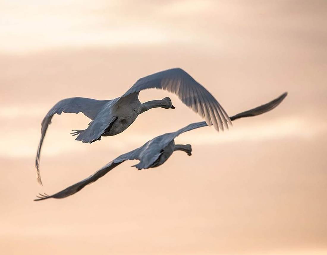 Gites La Baie des Remparts en Baie de Somme Picardie France