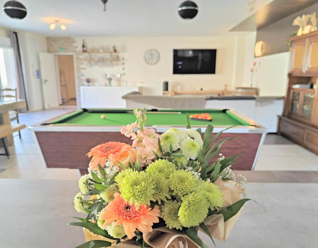 billard-pièce-commune