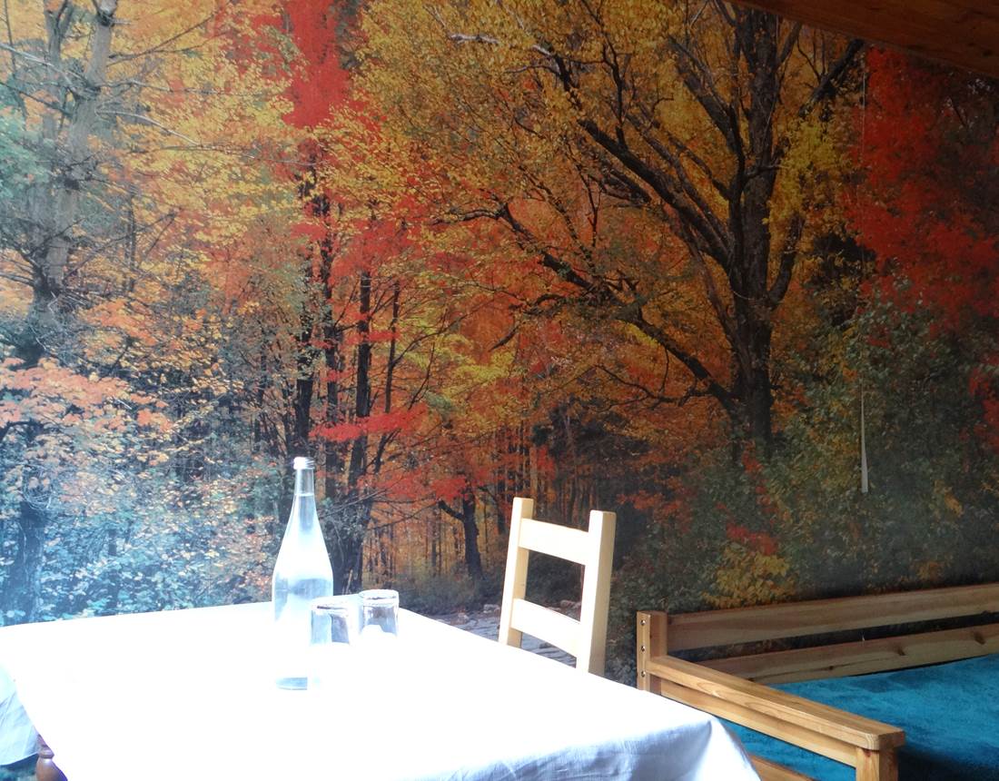 table sur fond de forêt