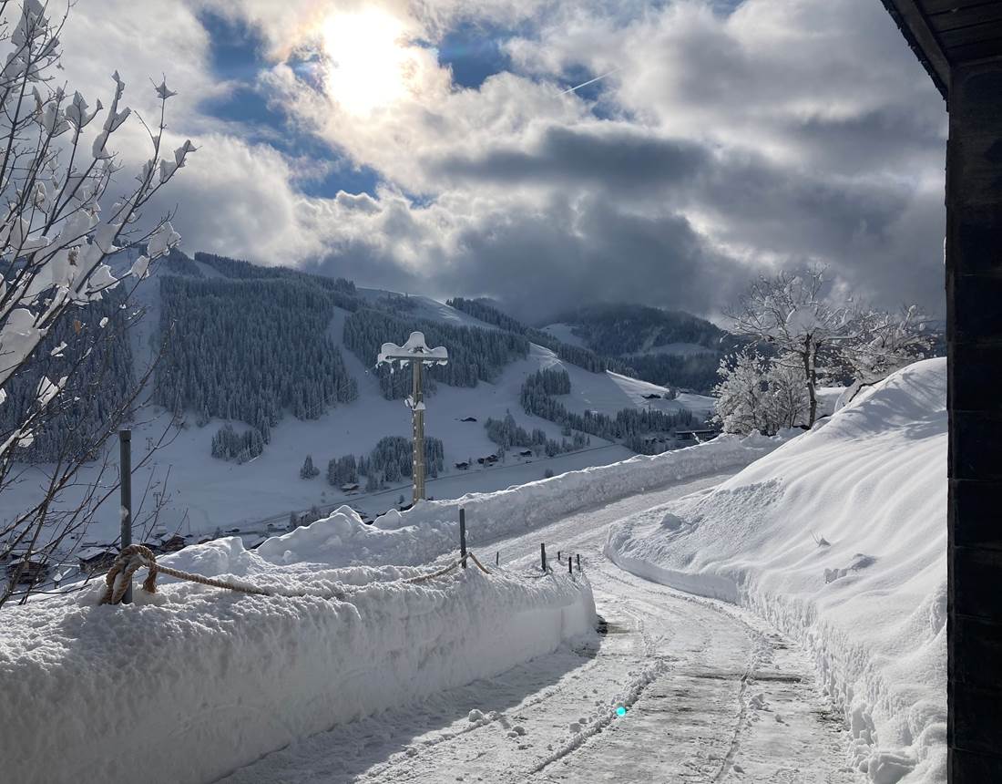 chemin d'accès au chalet
