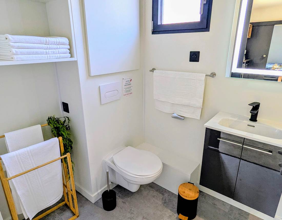 salle-de-bains-toilettes-avec-linge-fourni