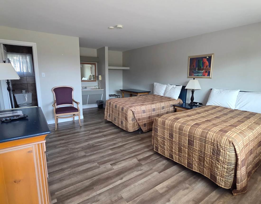 Chambre spacieuse avec 2 lits queen – animaux bienvenus