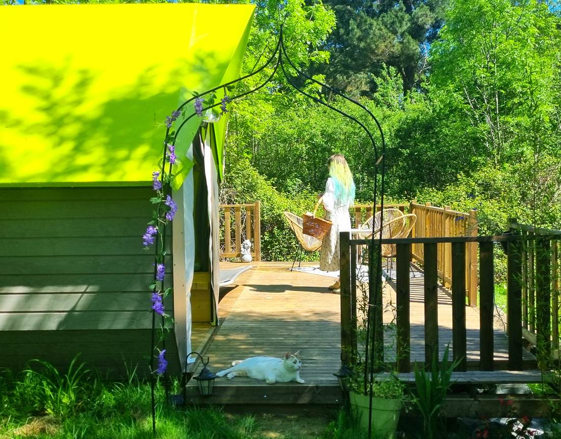 cabane Les Rêves d'Ambre