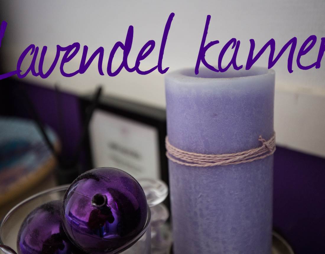 Lavendel 1
