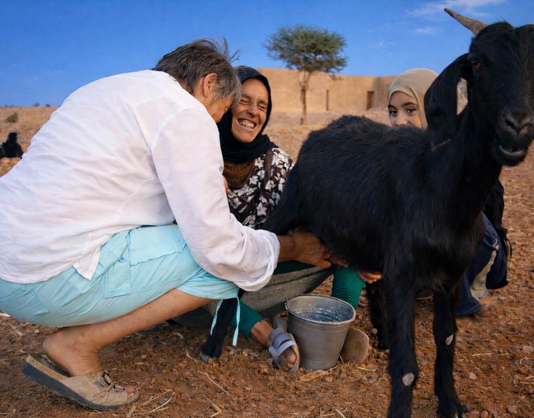 Traite d'une chèvre dans le désert