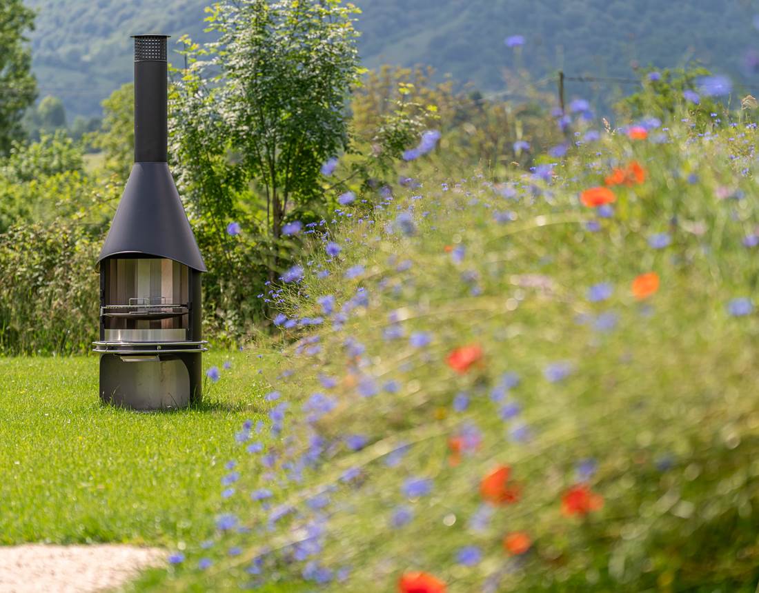 Barbecue dans le jardin