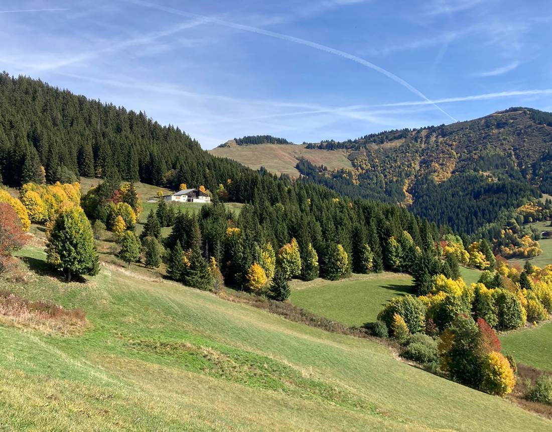 Depuis le chalet en automne
