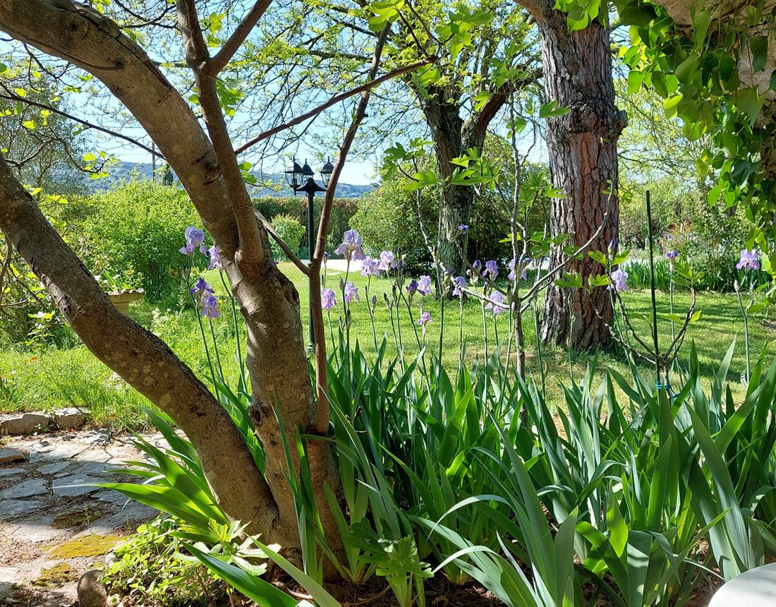 Vue depuis studio Cigale