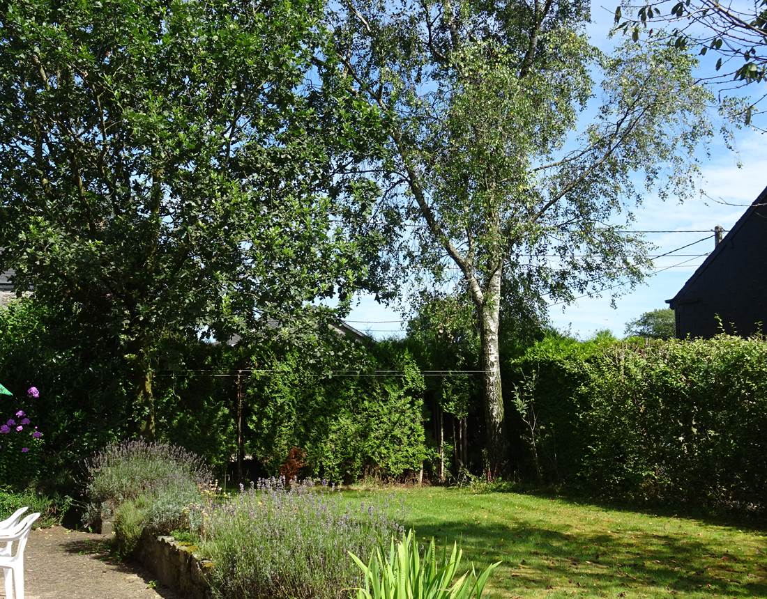 Jardin privatif du gîte 2