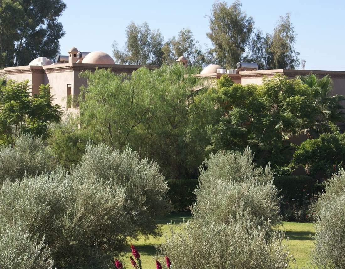 La Kasbah Aâlma d'Or à Marrakech est entourée d'oliviers