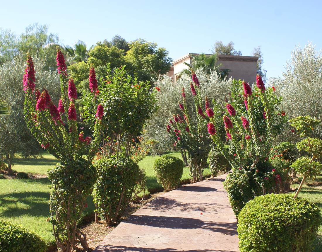 Chemin d'accés au Riad Aâlma d'Or à Marrakech