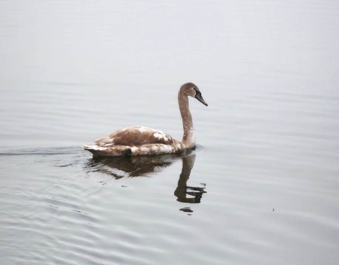 Gites La Baie des Remparts en Baie de Somme Picardie France