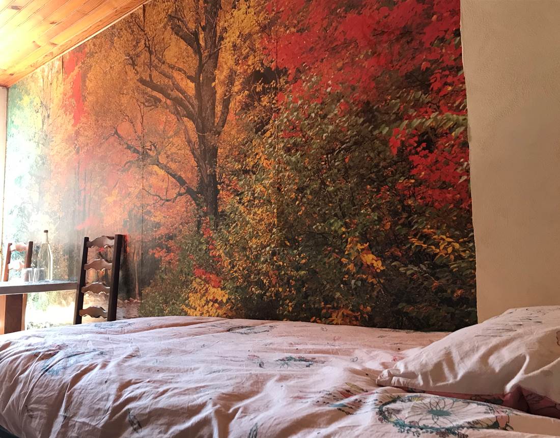 petit lit et petits (h)êtres de la forêt