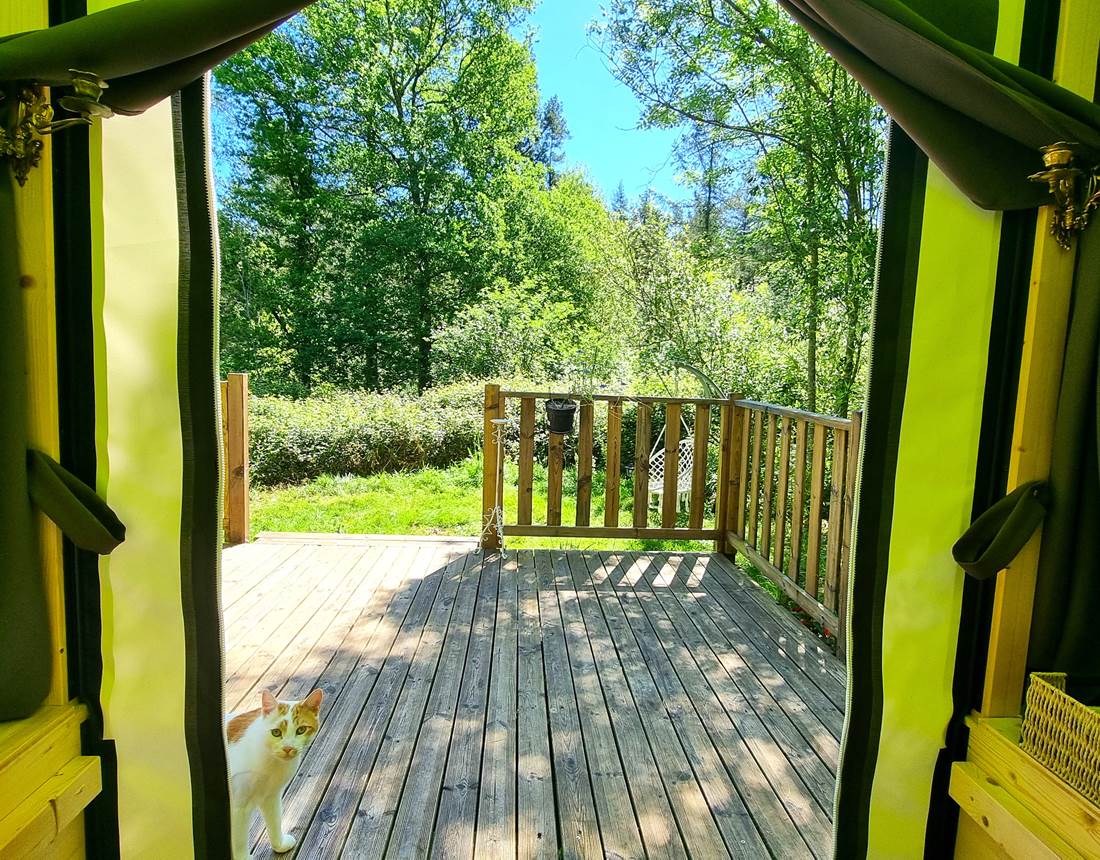 cabane Les Rêves d'Ambre