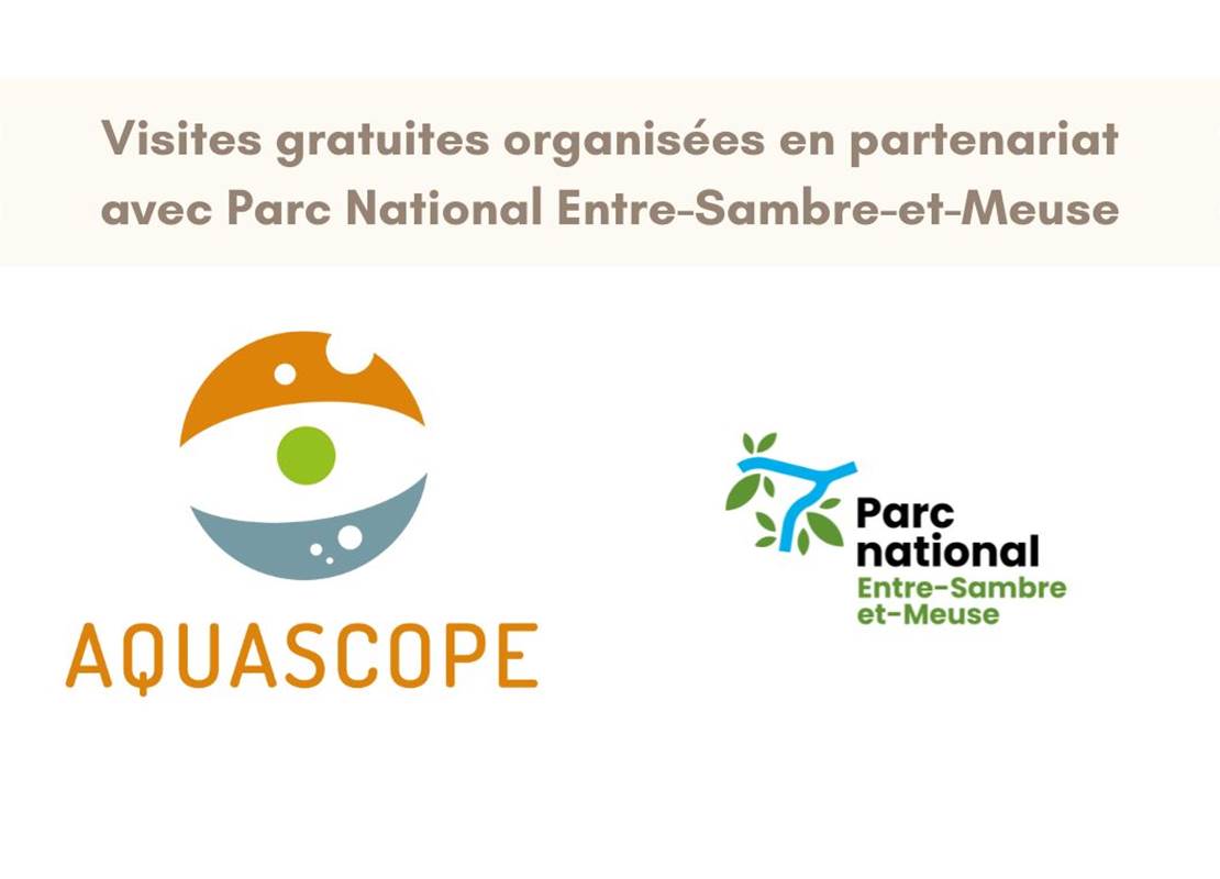 Montage visites PN ESEM