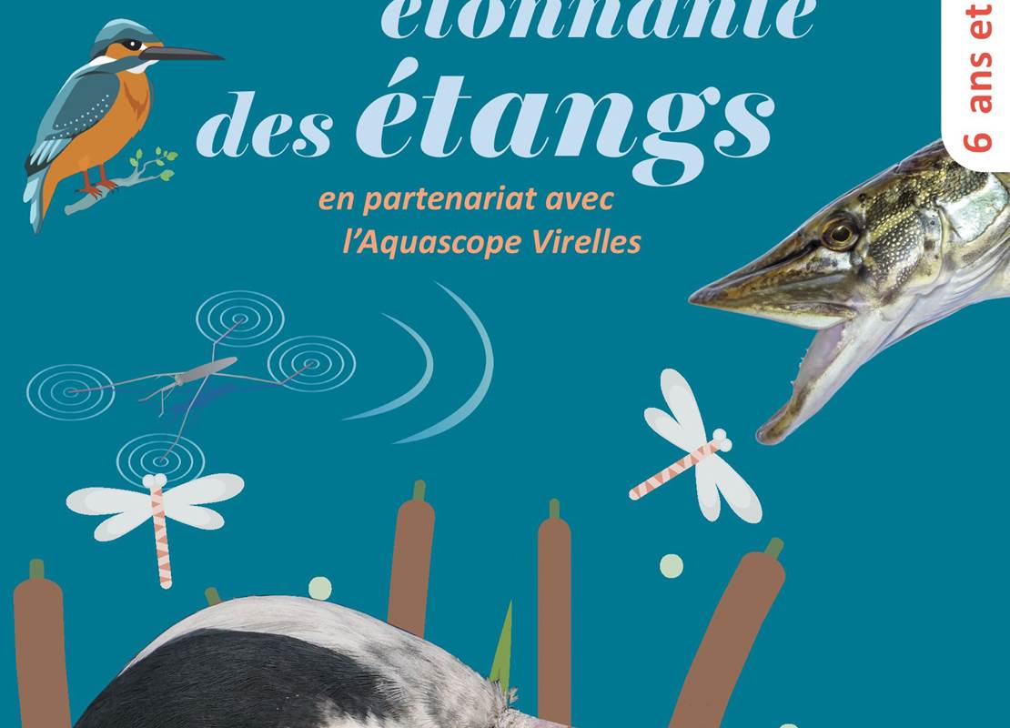 Vie etonnante étangs cover 1