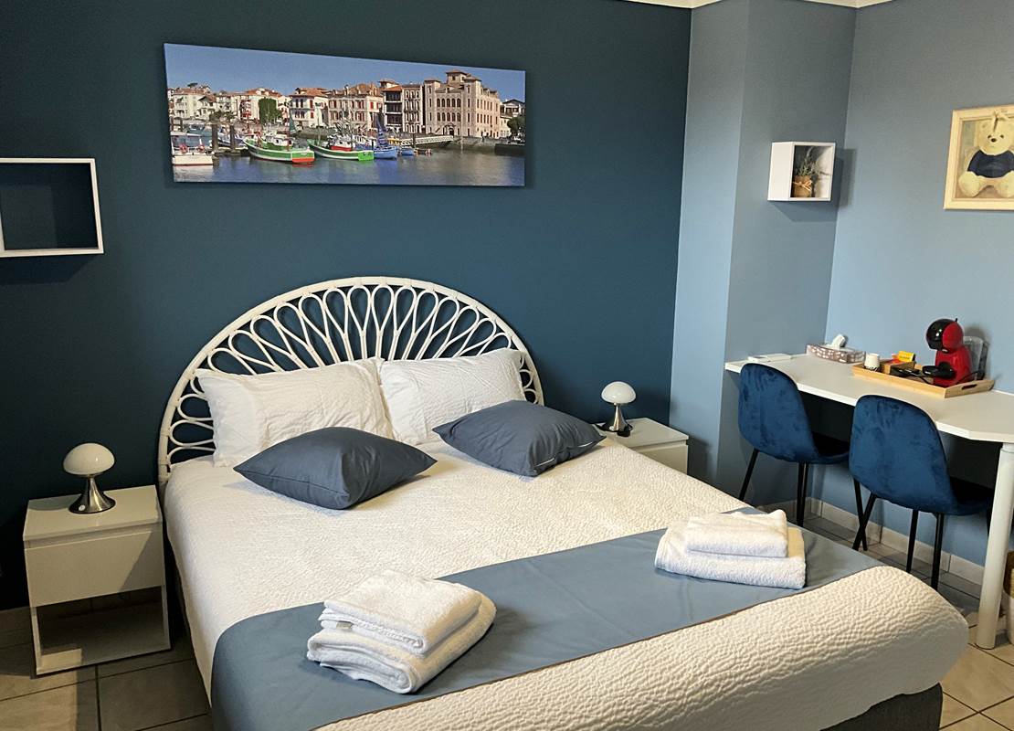 vue sur pyrénées 2