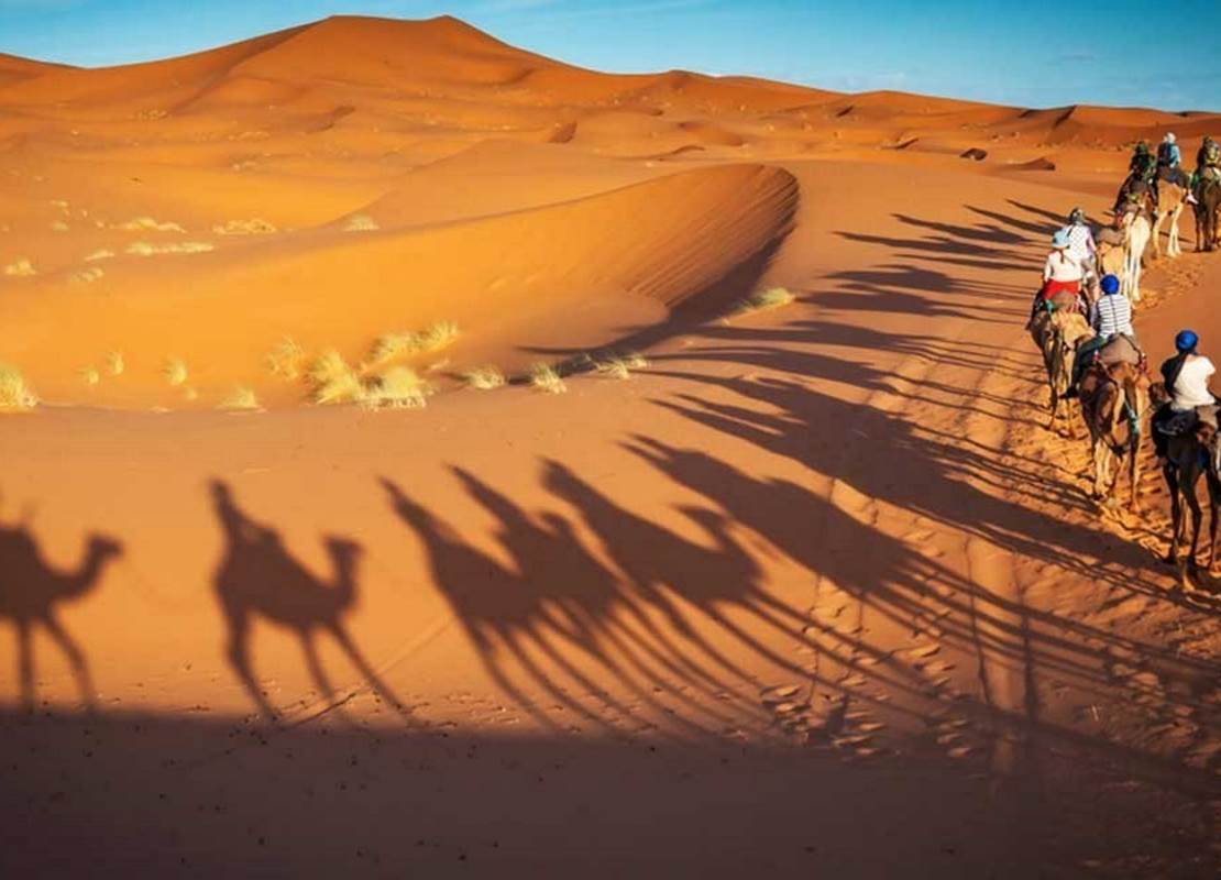 une balade à dos de chameau à travers les dune à Zagora