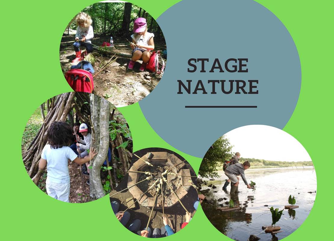 Stage nature à l'Aquascope Virelles