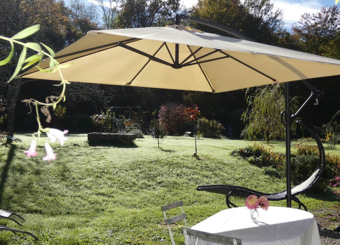 Sittelle terrasse 1 P1090843 copie