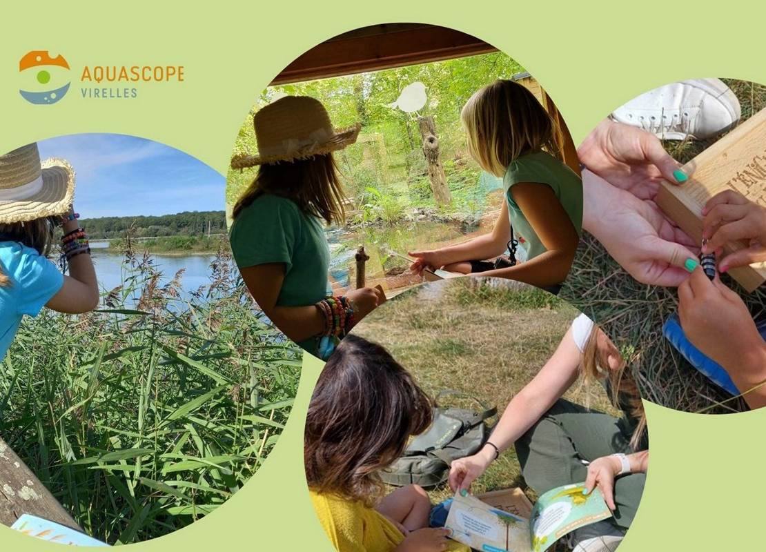 L'énigme du roseau (1)