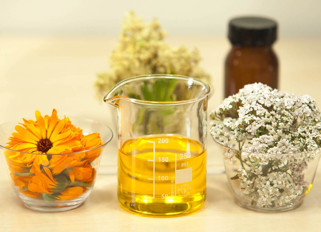 plant-flower-food-herb-produce-beaker-571137-pxhere