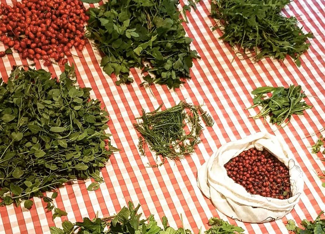 244343382_10157928827176300_6380060086406047167_n