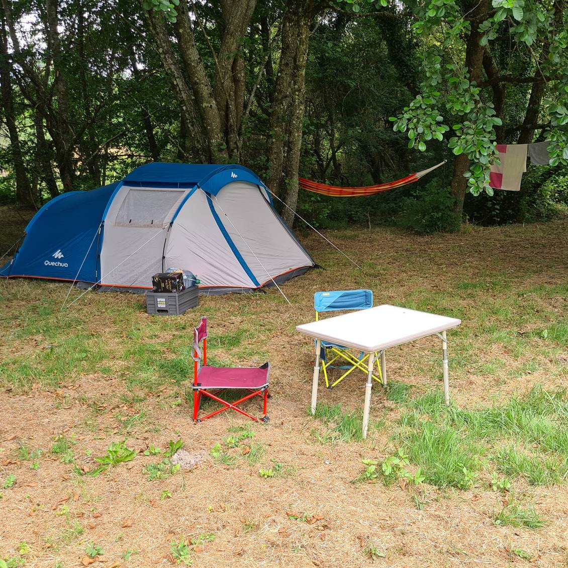 semi sauvage kampement 2 - 1