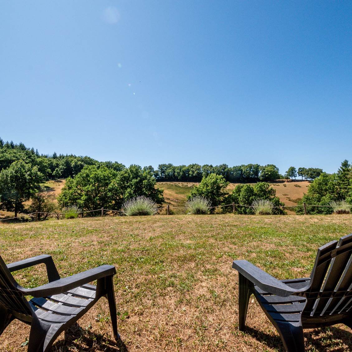 Vue sur le parc animalier