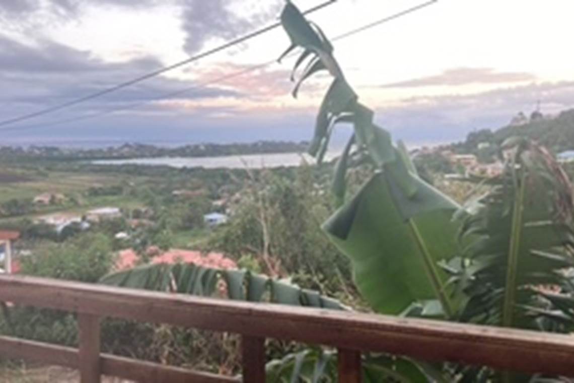 8DDD12BF-0223-4C5E-A4E2-0DE490E14A81