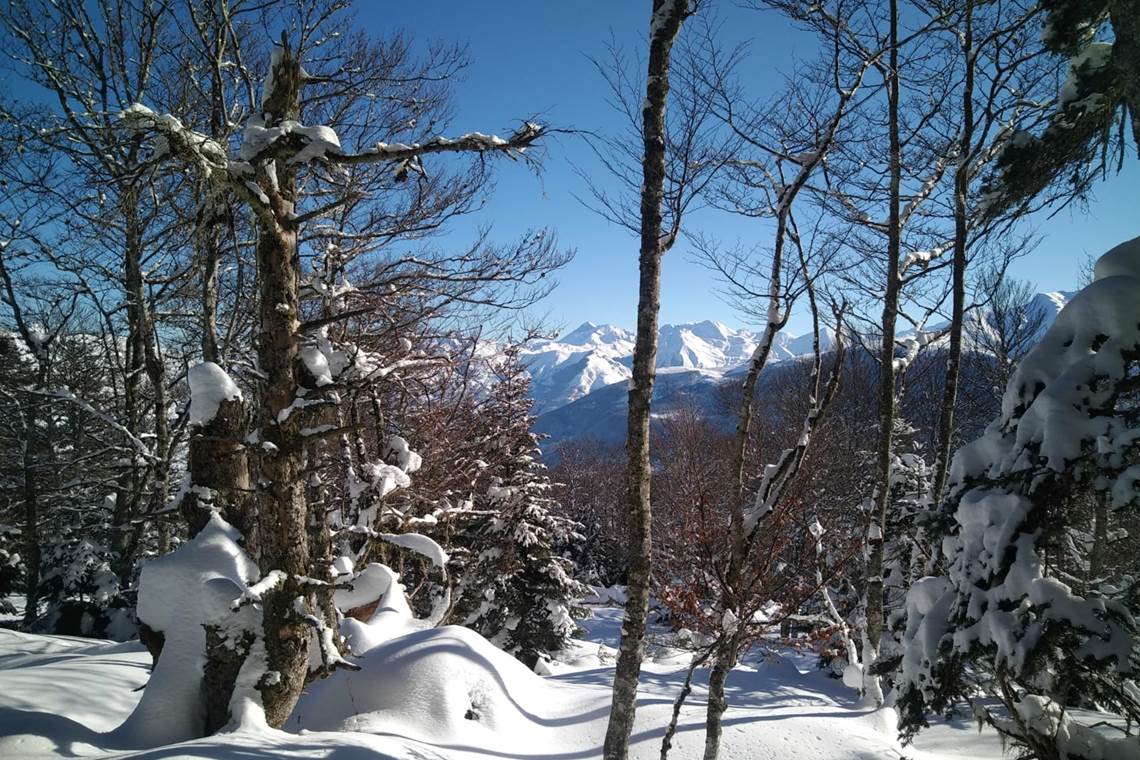 Randonnée guidée au col de Berbeillet