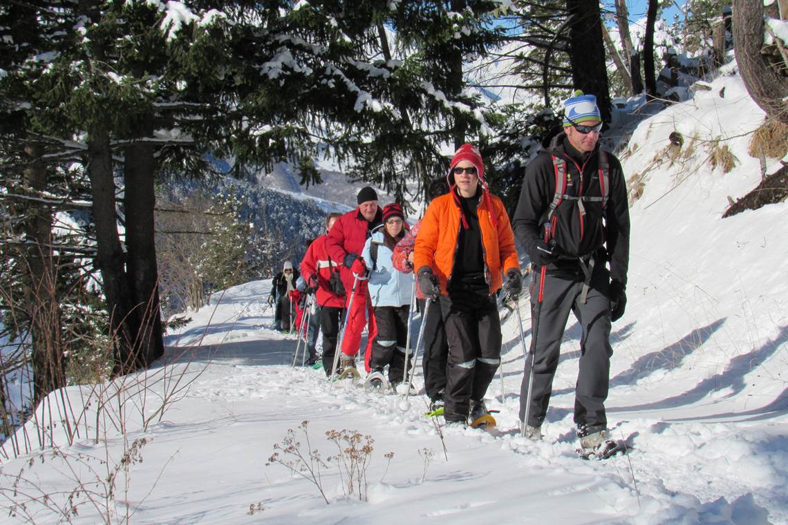 Traversée de la forêt de la soulane
