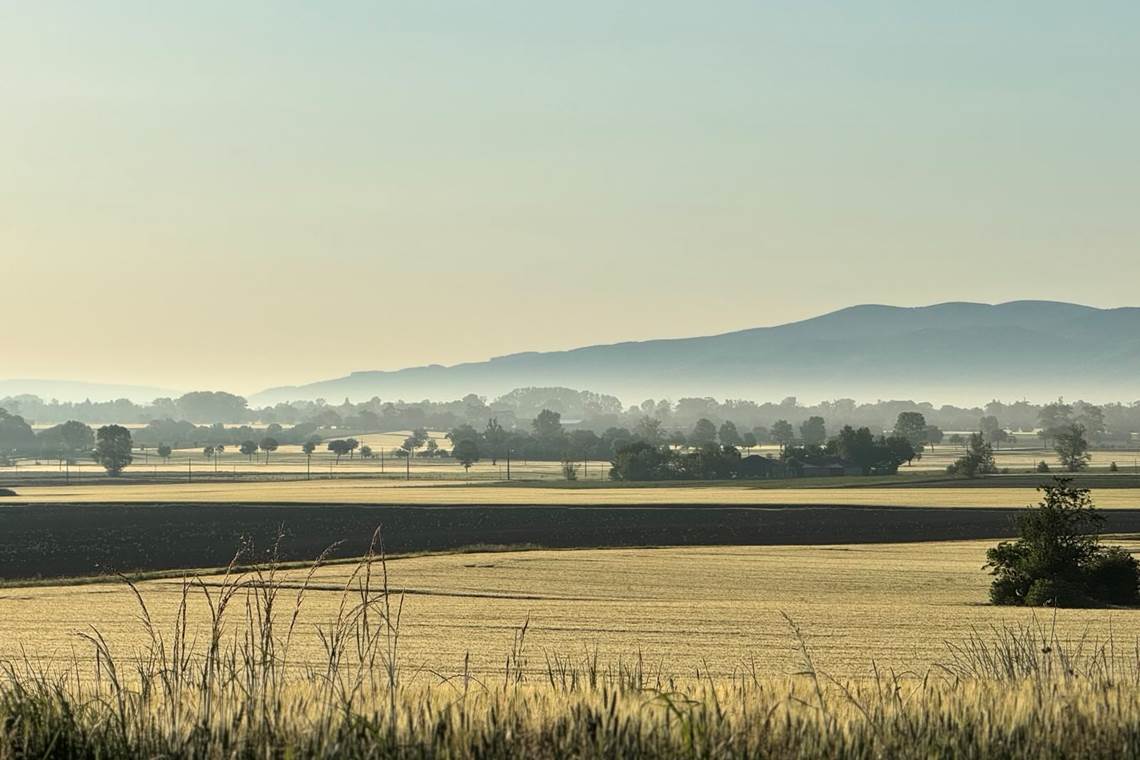 campagne-lauragaise-lever-soleil