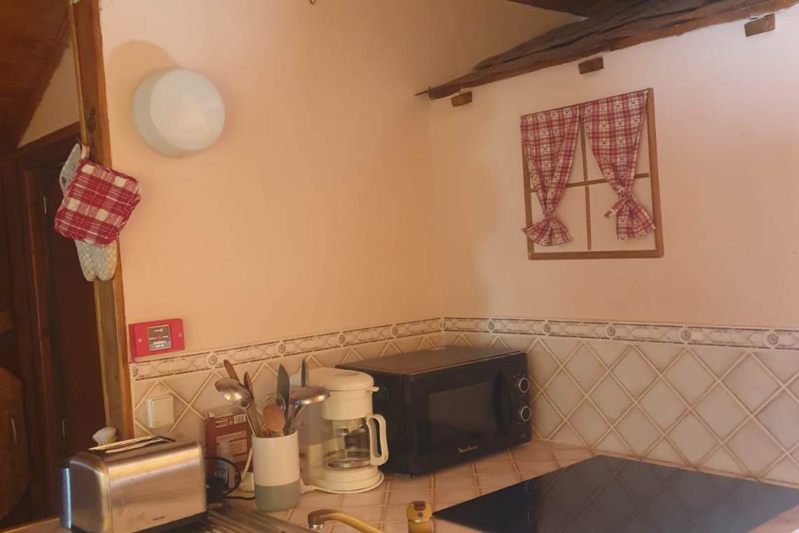 Appartement Marmotte (coin cuisine)