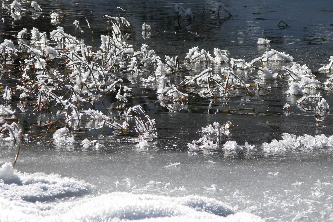 Lac gelé en hiver