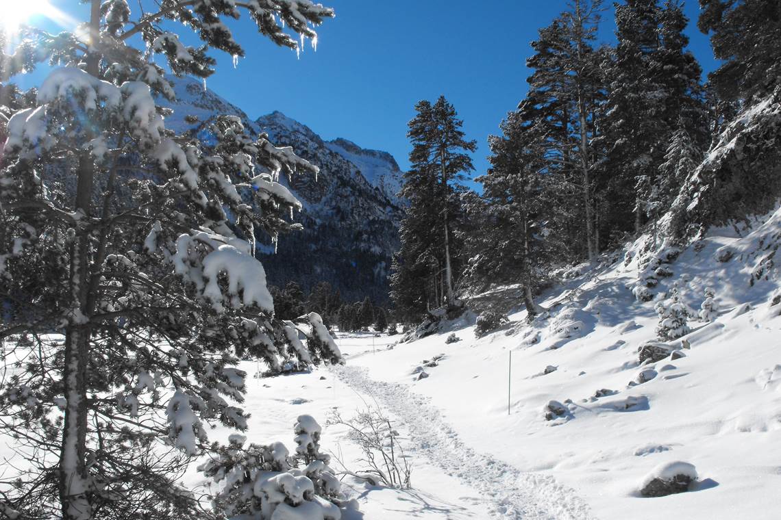 Randonnée raquettes depuis le Pont d'Espagne à Cauterets