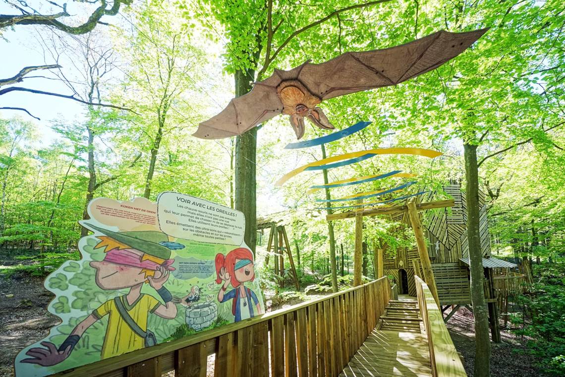 Chlorophylle Parcours cime des arbres