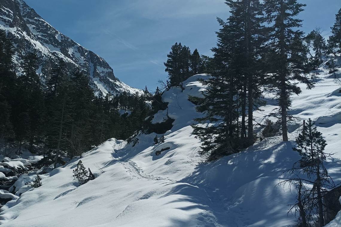 Randonnée raquettes lac d'Estom