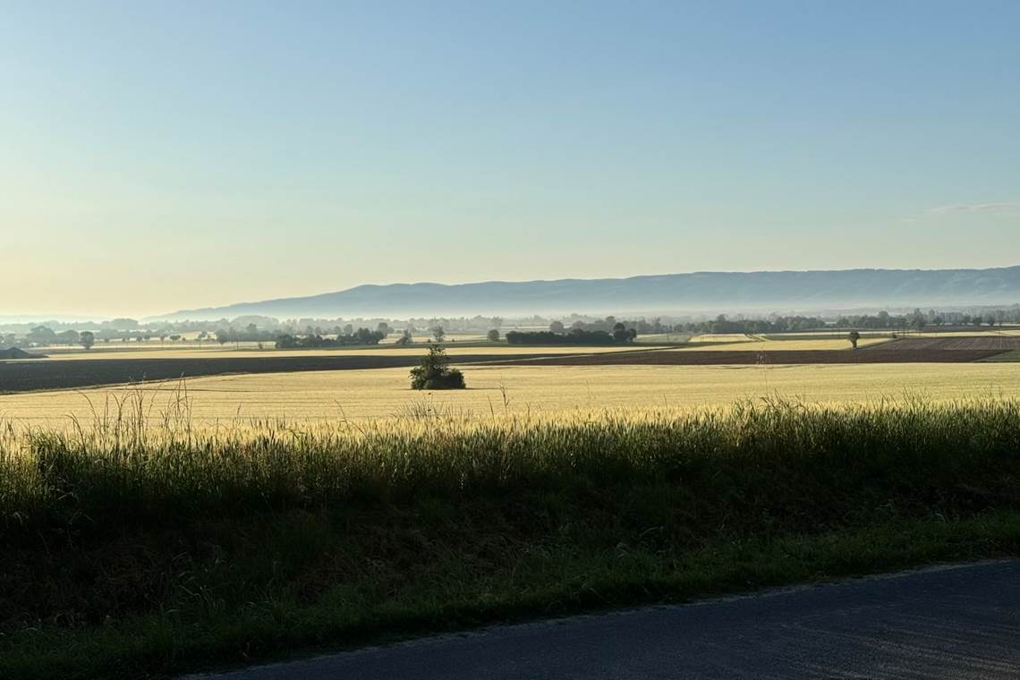 vue-panoramique-domaine-location-lauragaise