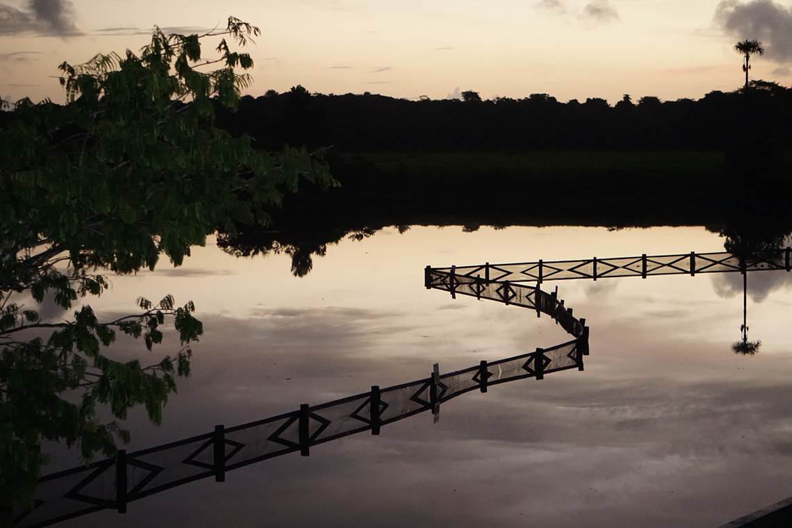 La Mangrove