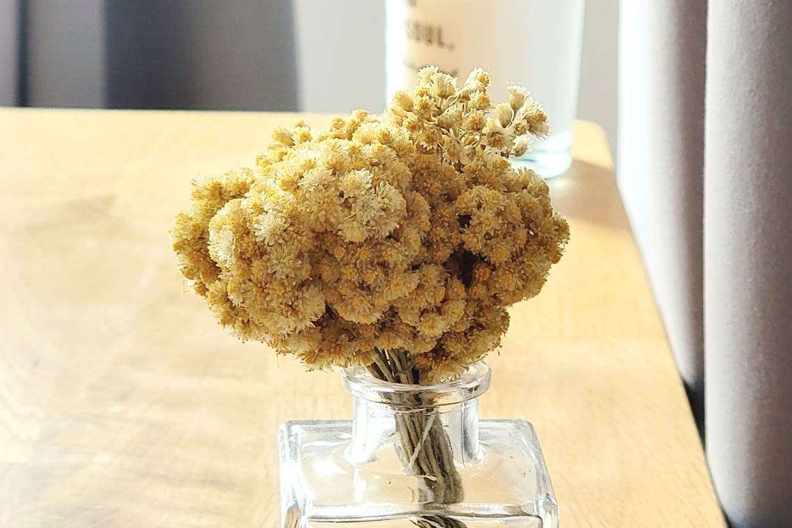 decoration-authentique-immortelle-corse-domaine-cardu