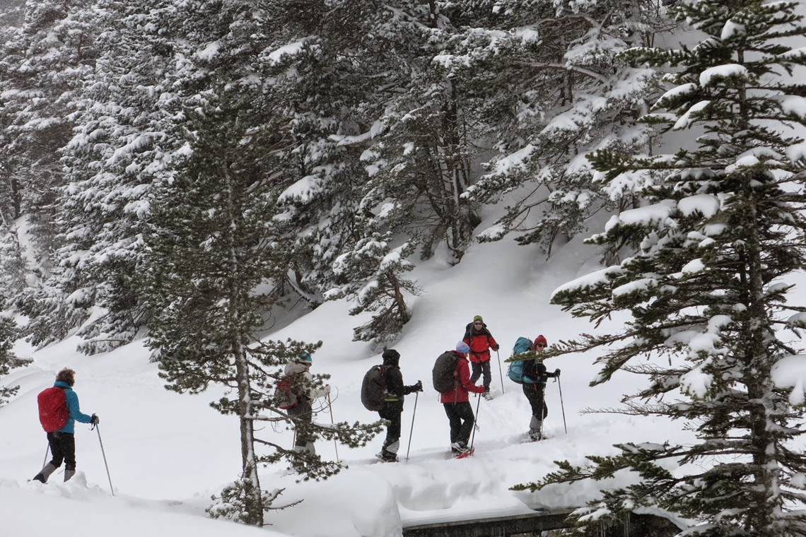 Randonnée à raquettes à Cauterets Pont d'Espagne