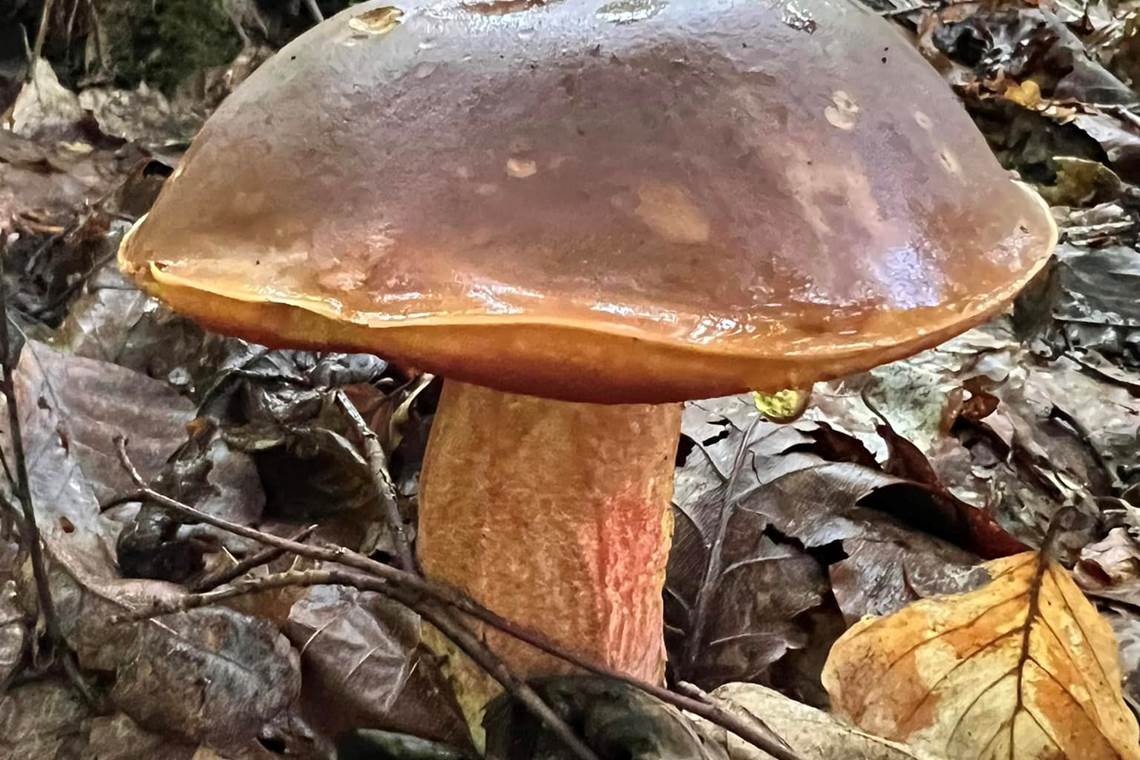 459593660_10231870369760095_2434730318125841251_n